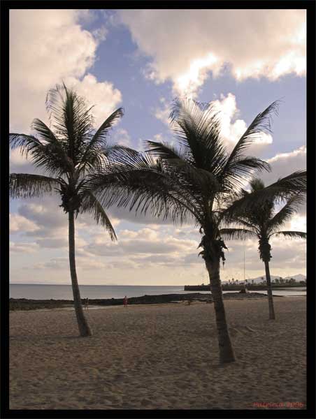 Image Hosted by ImageShack.us